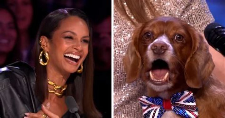 Singing dog wins judges hearts during incredible performance in talent show