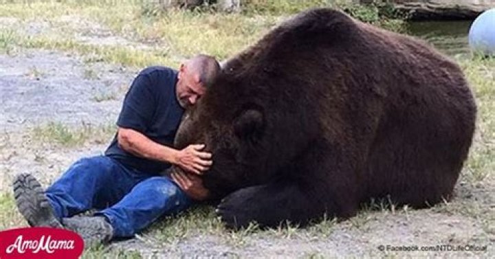 1,500-pound Kodiak bear has died after 20 years of family life