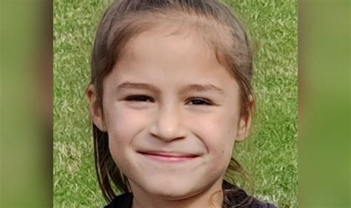 12-year-old girl was killed while attempting to save her dog after it ran into traffic