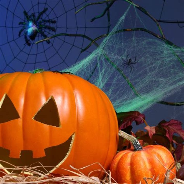 Needles found inside a popular Halloween treat