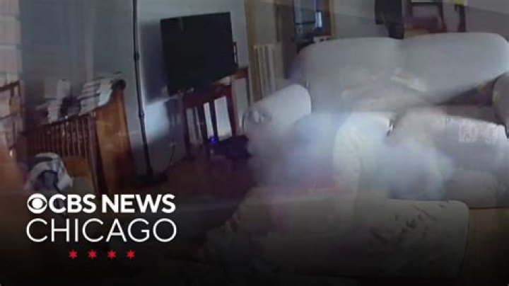 Video shows little dog in a state of fear after owner painted him for a Halloween festival