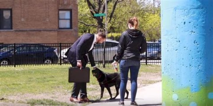 Would you sell your dog for $100,000?