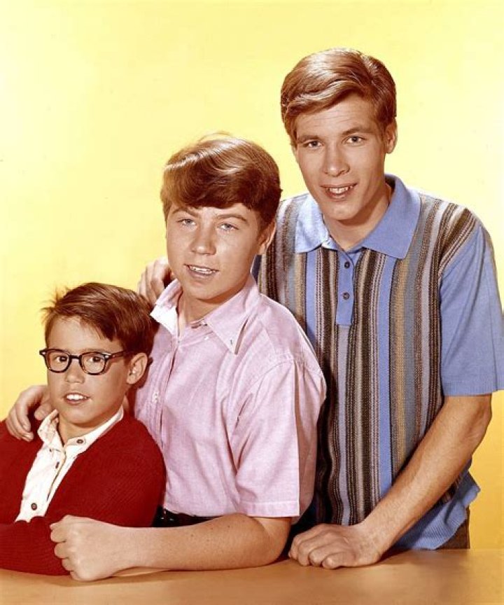 Meet Barry Livingston Who Played Ernie from 'My Three Sons' and Married Karen Huntsmen