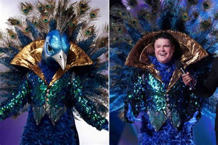 'Donny Osmond is 100% the peacock' in the 'Masked Singer'