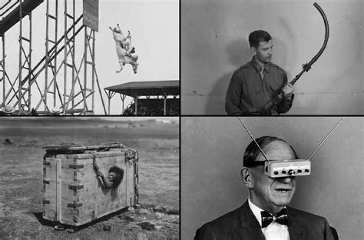 Top 7 Most Bizarre Things About The Way Charles And Camilla Make Their Marriage Work