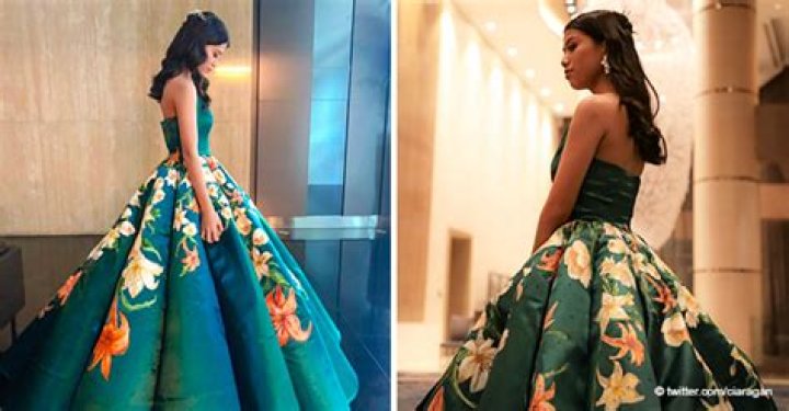 Teen Girl Stuns with an Incredible Graduation Gown That She Sewed and Painted Herself
