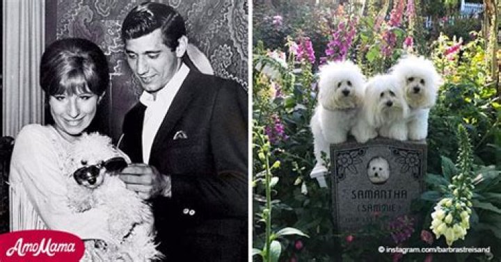 Barbra Streisand Shares a Tearful Photo of Her Cloned Dogs Sitting on Their Mom’s Grave