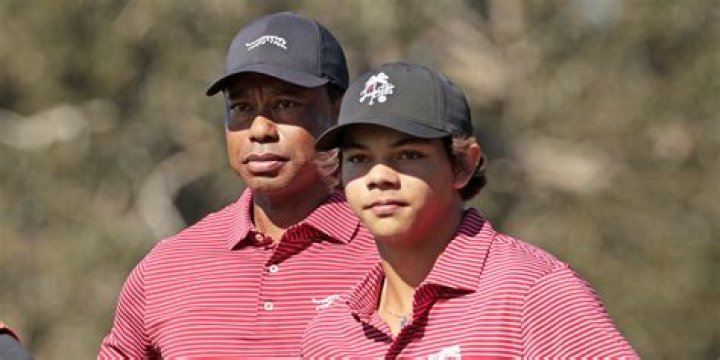 Tiger Woods' Ex-Wife Elin Expecting Baby with Former NFL Star Jordan Cameron