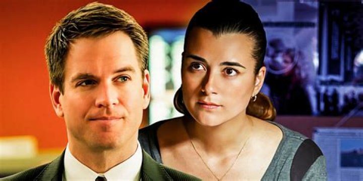 NCIS Fans Suggested Ziva Can Take Gibbs' Place in Upcoming Seasons