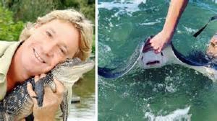 'Crocodile Hunter' Star Steve Irwin's Daughter Bindi's Video Tribute on Father's Day in Australia