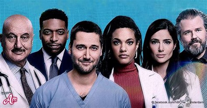  'New Amsterdam' Fans React after Georgia Goodwin's Death 