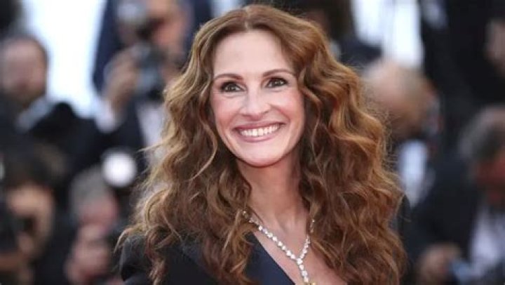 Julia Roberts Was Reportedly Suggested for Role of Black Abolitionist Harriet Tubman by Hollywood Executive