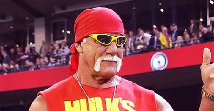 Hulk Hogan Has 2 Children – Meet Brooke and Nick Hogan