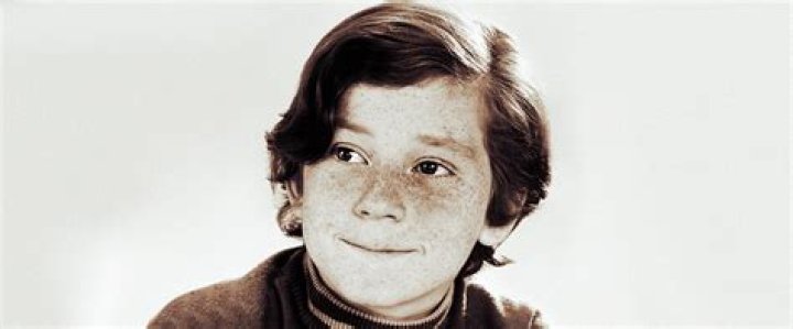 Danny Bonaduce from 'Partridge Family' Once Recalled Being Homeless and Living in His Car