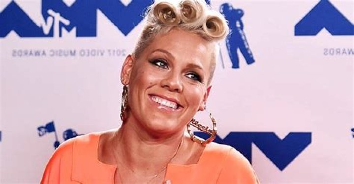 Pink's Son Jameson Laughs While Watching 'Ratatouille' in a Cute Video