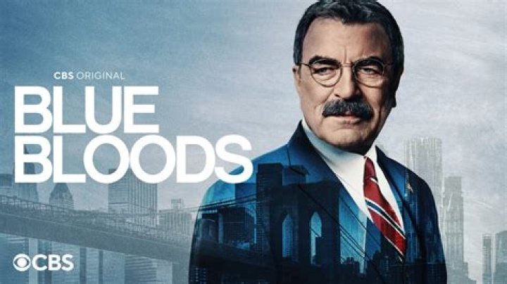  'Blue Bloods' Fans React to Brand New Character in Season 10 Finale