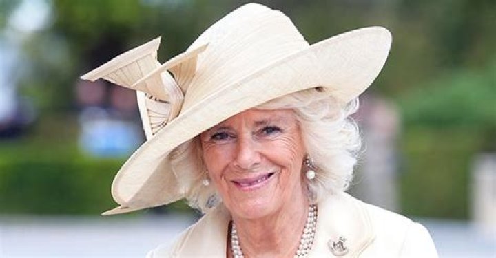 Duchess Camilla Calls Reunion with Grandchildren after Lockdown a Great Treat