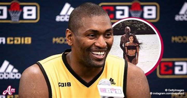 Metta World Peace's Legal Issues and Mental Health Struggles — Inside His Troubled Life