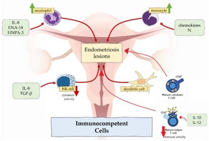 Tia Mowry's Life with Endometriosis That Caused Her Fertility Struggles