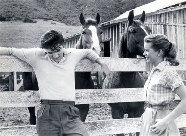 Regina Hall Once Wanted to Become a Nun but Was Rejected — inside the Actress' Personal Life