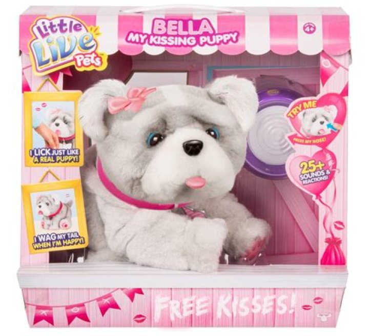 Sharon Osbourne Cuddles up with Cute Puppy Bella — Fans Can't Stop Gushing over the Pic