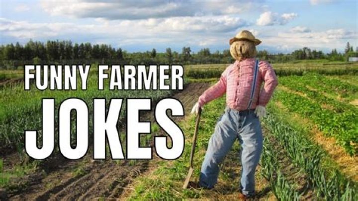 Three Funny Jokes about Living the Farm Life