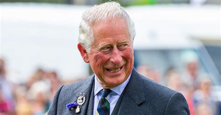 Prince Charles Seems to Be a Fan of 'Game of Thrones' — See Him Pose with a Willow Iron Throne