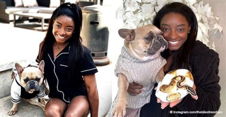 Simone Biles Is a Proud Mom of French Bulldogs — 6 of Her Cutest Moments with Her Furry Babies