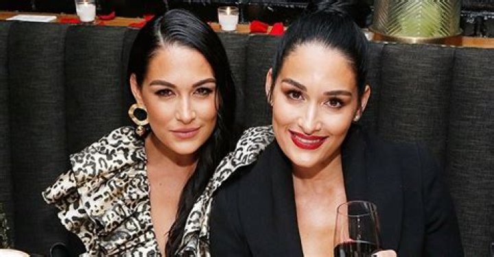 Here's Why 'Total Bella' Stars Nikki and Brie Bella Are Both Moving to New Homes in Napa Valley