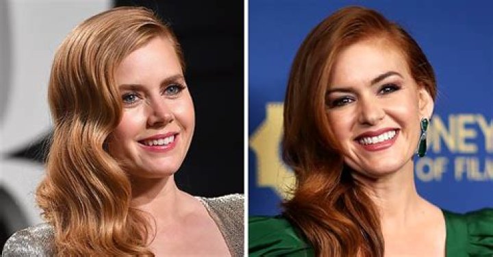 Isla Fisher and Amy Adams Look Nearly Identical — the Actresses Get Confused So Often