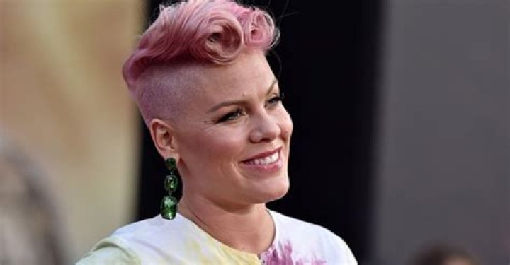 Singer Pink, 41, Proves She Hasn't Changed with This Throwback — See How Young She Looked