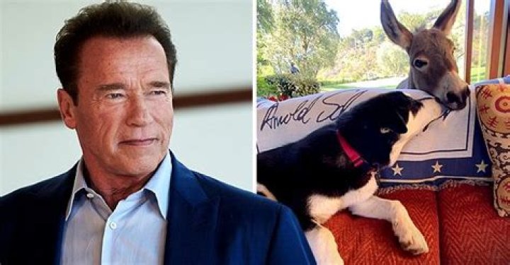 Glimpse inside 'The Terminator' Star Arnold Schwarzenegger's Mansion in Los Angeles