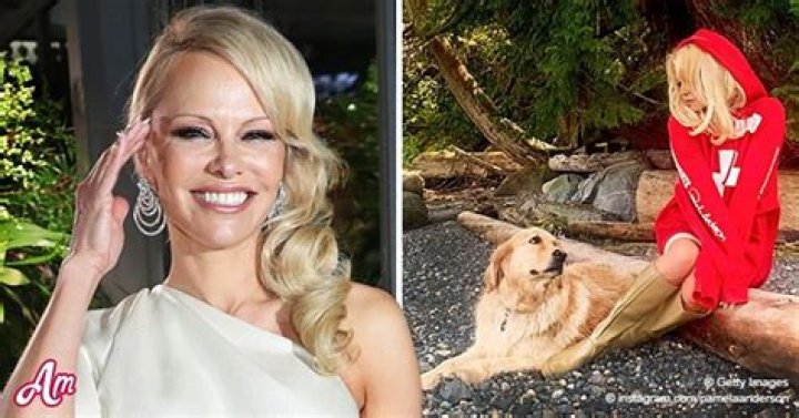 Pamela Anderson, 53, Ditches Her Pants Posing in Red Hoodie on a Log — See the 'Baywatch' Star
