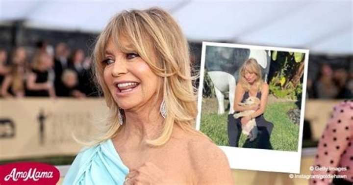 Goldie Hawn Introduces New Puppy She Named Roy after Character on Her Hit Movie 'Overboard'