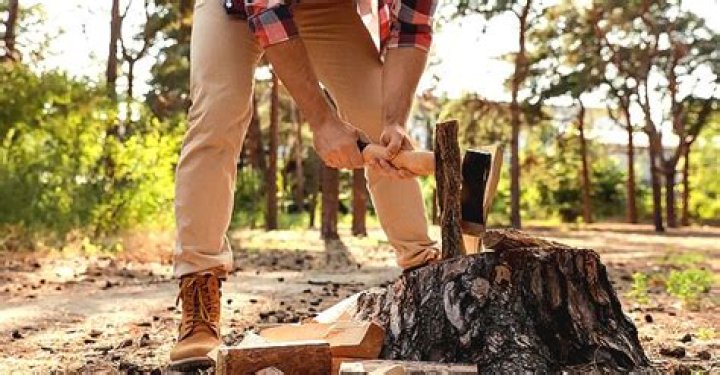 Daily Joke: A Lumber Camp Was Searching for a New Lumberjack