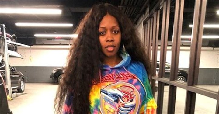 Remy Ma Looked Stunning in a Daring See-through Dress with Feathers — Check Out Throwback Snap
