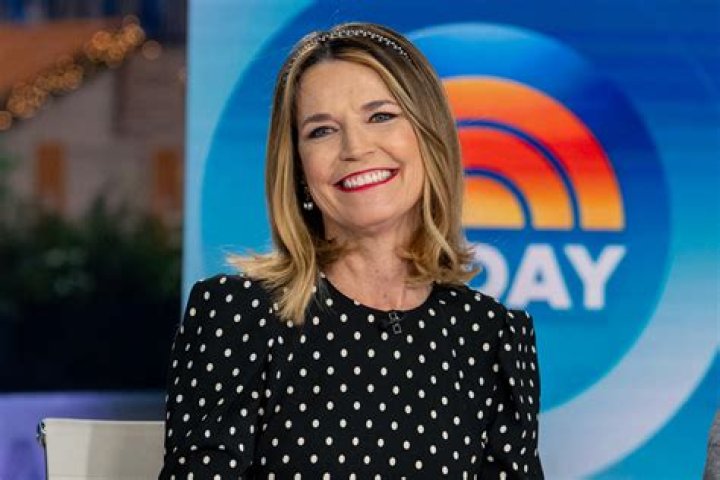 'Today' Co-host Savannah Guthrie Pokes Fun at Fan Reviews on Her Latest Outfit on the Show