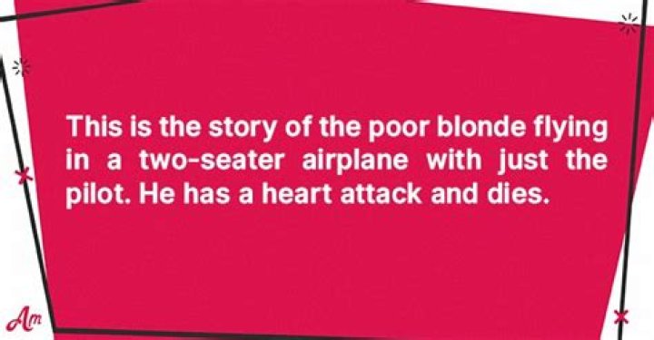 A Blonde Flies an Airplane Whose Pilot Suddenly Dies