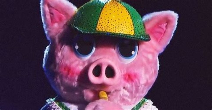 Season 5 of 'the Masked Singer' Returns Onscreen as 'the Spicy 6' Begin the Fight for a Trophy