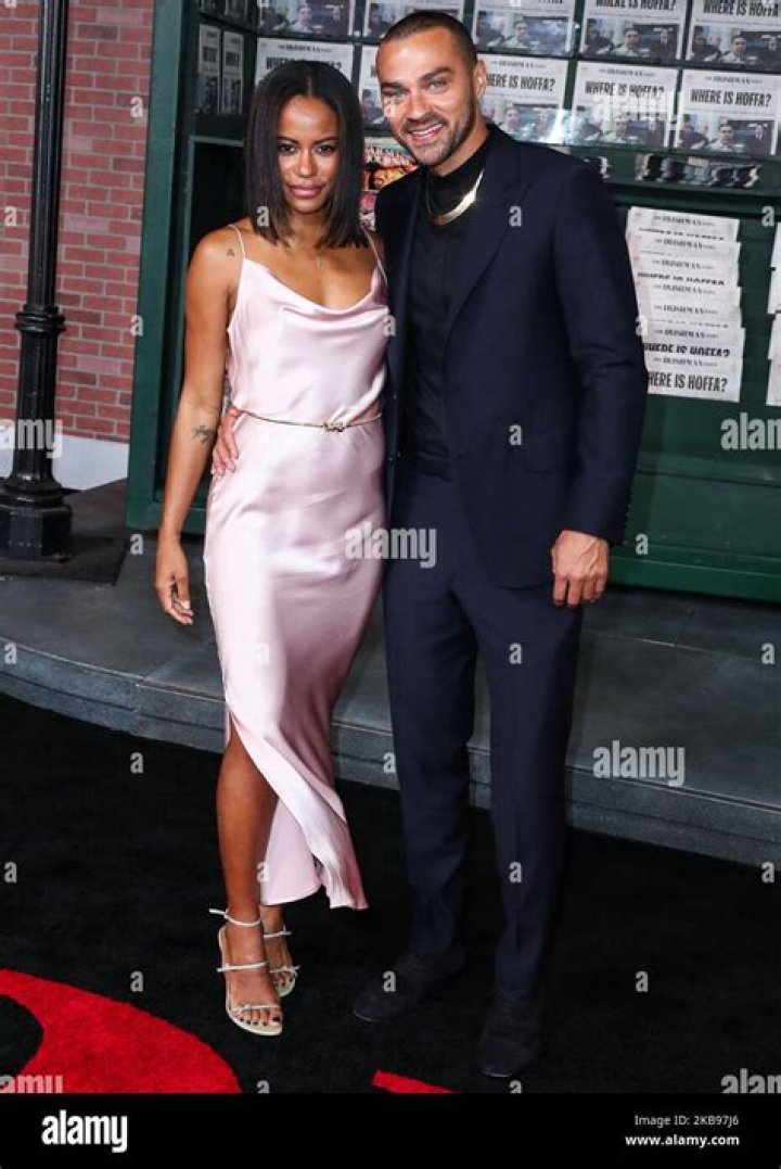 Jesse Williams' Girlfriend Taylour Paige Looks Stunning In a Selfie Showing off Her Short Hair