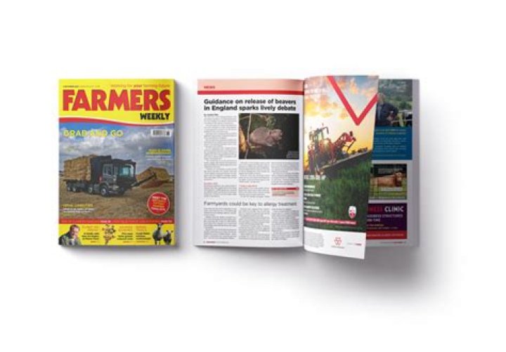 Inside What Hollywood Legend Doris Day Ever Wanted in Her Life