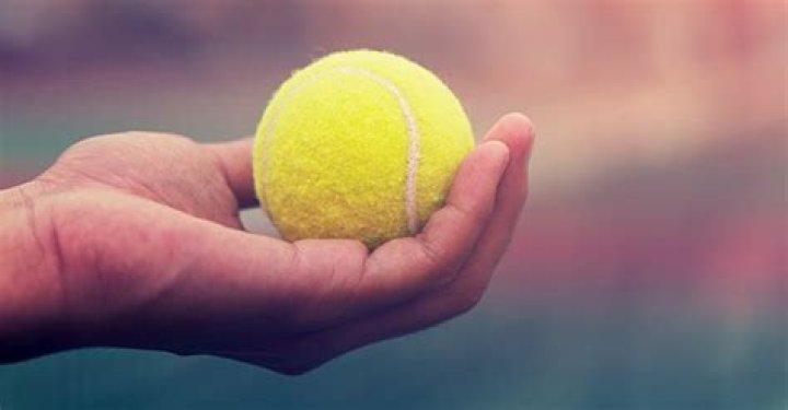 A Jogger Found a Brand New Tennis Ball at the Park