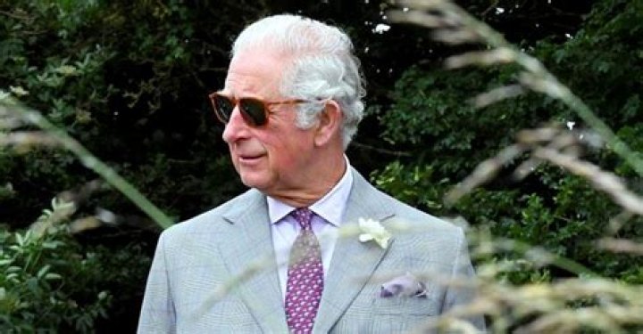 Twitter Users Gush over Prince Charles as He Dons Designer Gray Suit on a Farm Visit