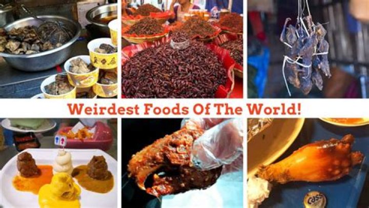 You Will Not Eat It: The Weirdest Food In American History