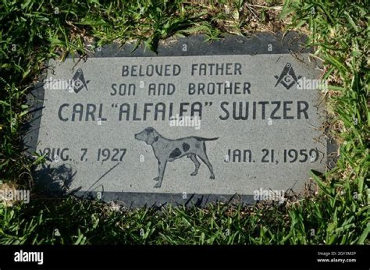 'Our Gang' Carl Alfalfa Switzer’s Life Was Taken during Justifiable Homicide Episode Witnessed by 3 Kids