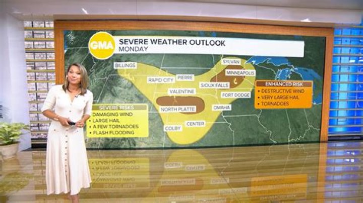 ‘Good Morning America’ Meteorologist Ginger Zee to Star with Her Family in New Marvel Animation