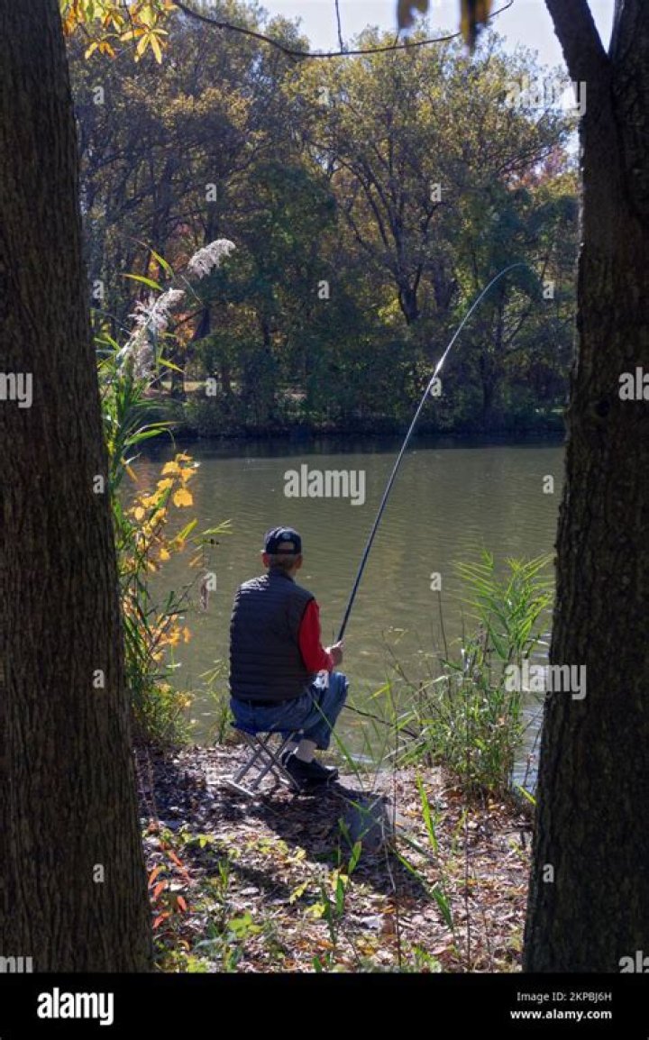 Little Boy Quietly Fishing with His Dad When Huge Alligator Suddenly Rushes Out of the Water