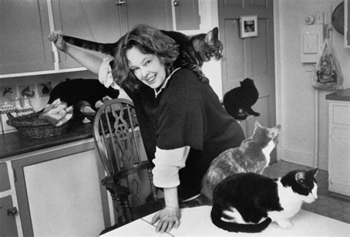 Sandy Dennis Lived with 37 Cats & Said She ‘Never Ever Wanted’ Kids Years before Her Death