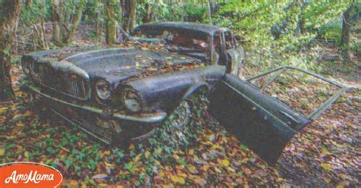 Boy Finds Abandoned Car in Forest, Notices Old Locked Box Inside – Story of the Day