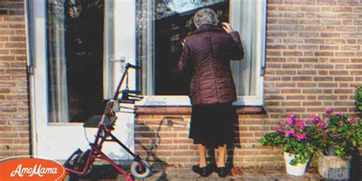 An Old Lady Knocked on My Window When My Life Was in Ruins, She Became My New Family in a Month — Story of the Day